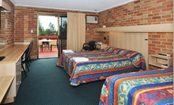 Windsor Terrace Motel - Twin Room with Terrace